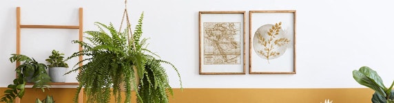 Poster & Wanddekoration Gutscheine & Angebote