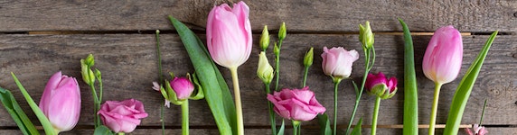 Blumen Gutscheine & Angebote