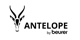 Antelope Logo